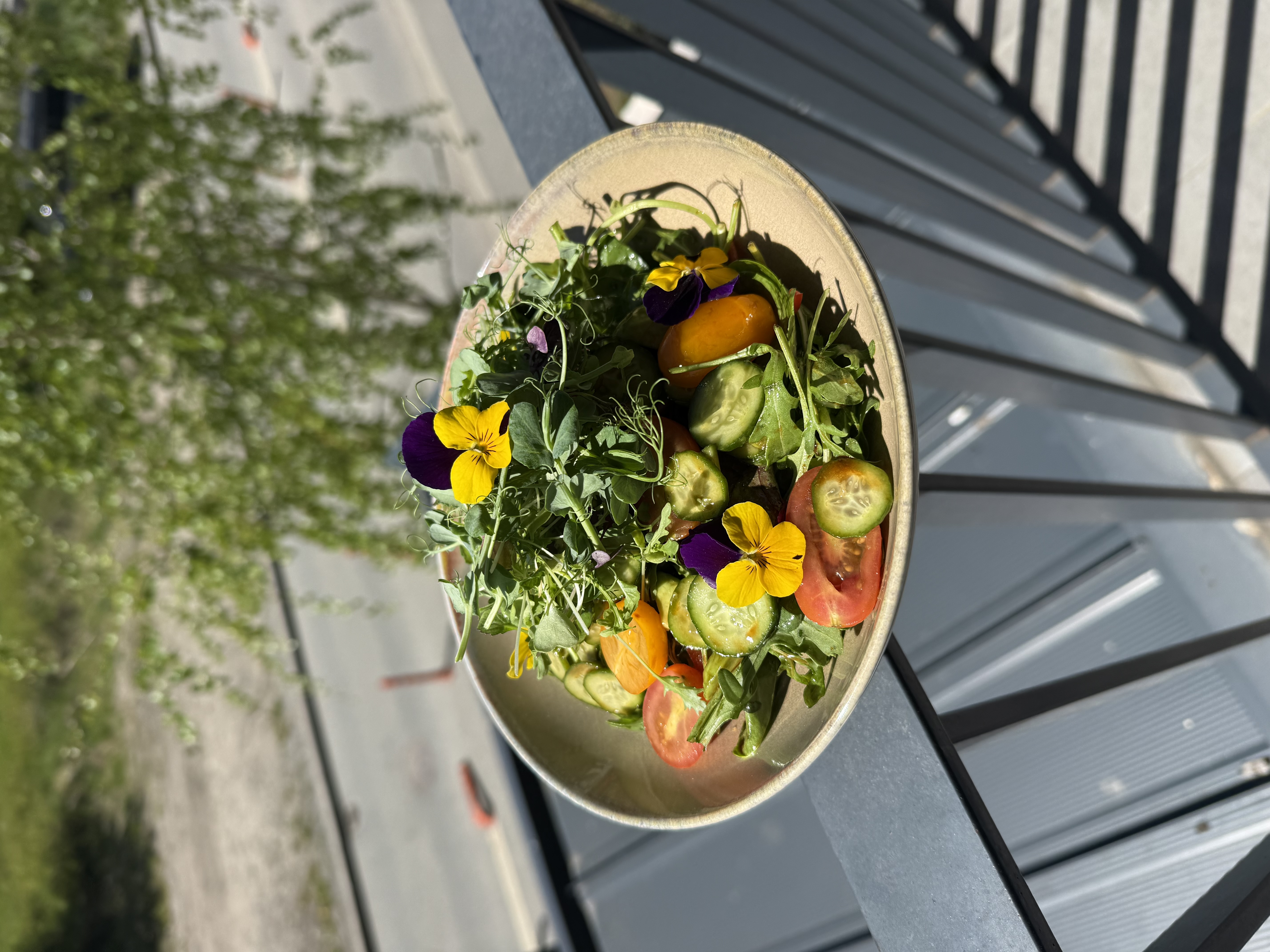 Galerie culinară
